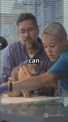 Why Tuna is Dangerous for Cats! 🐟🚨