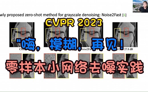 CVPR 2023【已开源】| Zero-Shot Noise2Noise：嗨，模糊，再见！小网络零样本去噪实践！