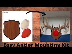 How To Mount Antlers On A Budget!