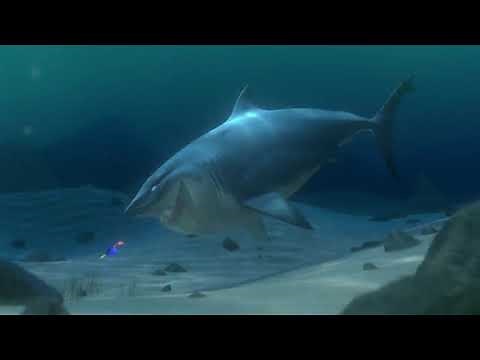 Marlin & Dory Meets Bruce - Scary Shark Scene (Finding Nemo)