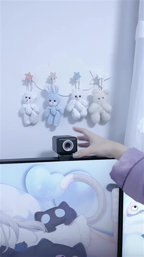 やっとウェブカメラデビュー！使いやすさ抜群