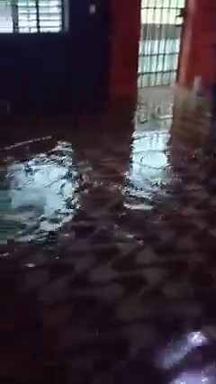 33K views · 1K reactions | Flooding at the Belize City Bus Terminal this morning. | News 5 Live | Facebook
