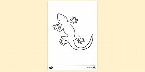 Lizards Colouring Sheet