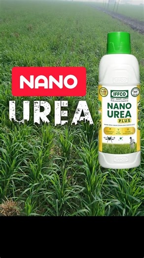 Pargat Singh on Instagram: "Nano Urea ਨੂੰ ਸਿੱਟਣ ਦੀ ਬਜਾਏ ਸਹੀ ਸਮੇਂ ਤੇ ਵਰਤੋ #npk #Nano #urea #iffco #punjab"