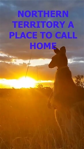 Northern Territory showed me a side of Australia I didn't expect #outback #travel #adventure