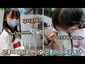 [예콩이네] 곤충이 무서운 예콩이와 곤충이 귀여운 예설이, 곤충이랑 친해지기 프로젝트!?