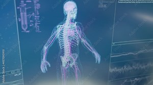 Human skeleton models on computer screen. Looking for injury. Futuristic laboratory research