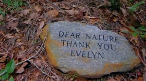 While away the hours to your inevitable demise with this green burial documentary