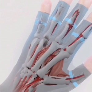 🚨 Novo: Naravna rešitev za lajšanje bolečin in okorelosti v rokah in prstih 🚨 Kompresijske rokavice iz bakrenih vlaken za sklepe Več kot 3000 pacientov, ki trpijo zaradi osteoartritisa, artritisa, Raynaudovega sindroma, sindroma karpalnega kanala in bolečine v sklepih, uporablja naše kompresijske rokavice – brez protibolečinskih zdravil ali operacije! ✅ Zagotavlja skoraj takojšnje lajšanje bolečin ✅ Natančna kompresija spodbuja celjenje tkiv in hrustanca ✅ Zračen, ultra mehak material za celod