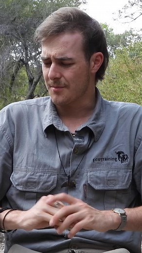 3.6K views · 98 reactions |  A sneak peek into the journey of our Professional Field Guide students — coming together from all corners of the world, united by a love for wildlife, conservation, and the wild places that inspire us. 女 Learn more about the EcoTraining 1-year Professional Field Guide course HERE:  https://ow.ly/q5kv50Xxq8U | EcoTraining | Facebook