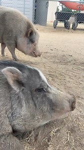 48K views · 2K reactions | It’s fire season in San Diego—a scary time...