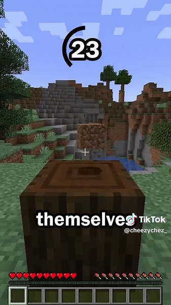 Guess the Minecraft Block in 60 Seconds Trivia Game