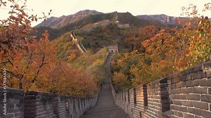The Great Wall of China. Majestic mountain vista. Beijing Mutianyu. Ancient historic site. Autumn orange sunset, yellow green tree. Forward pass gimbal walk symmetry
