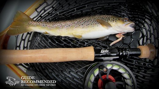 How to Start Fly Fishing: A Beginners Guide - Guide Recommended