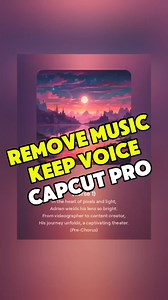 1.2K views |  How to Remove the Background Music from a Video and...