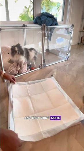 Unboxing 100 Dog Pee Pads by Amazon Basics | Quality & Quantity for Crate Training!