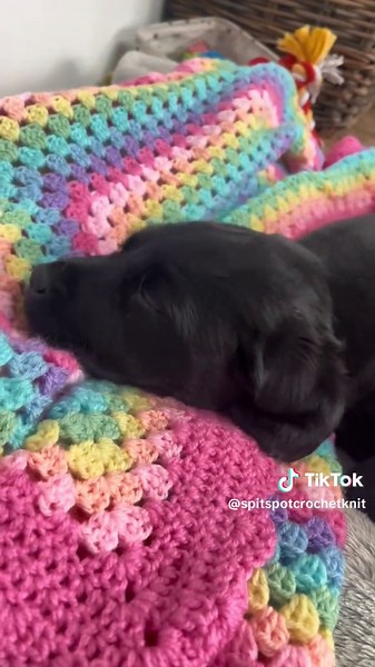 Crochet Blankets for Pets: Perfect for Snuggles