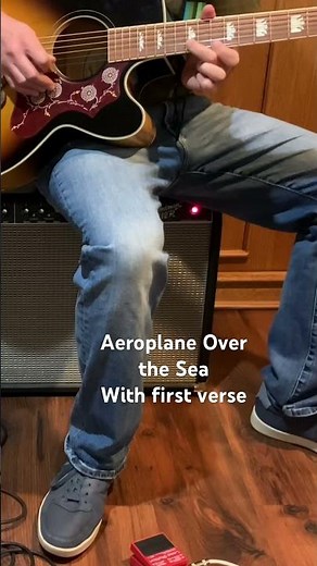 In the Aeroplane Over the Sea by Neutral Milk Hotel