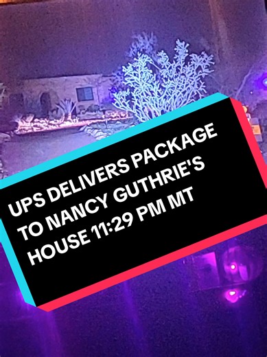 #nancyguthrie #truecrime #truecrimetok | crime cases