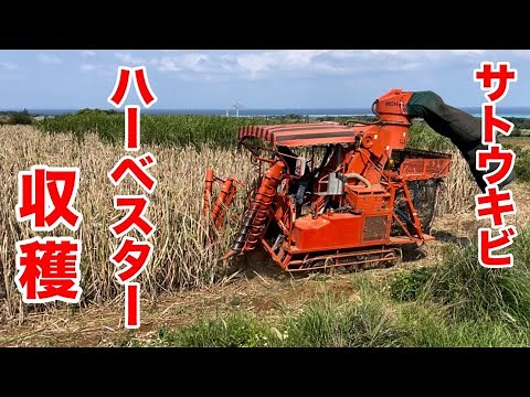 【サトウキビ】松元機工ハーベスターで収穫作業！