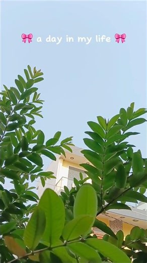 Day 6 🌷💗 #shorts #minivlog #adayinmylife #dailyvlog #adayinmylife #viral #trending #fyp