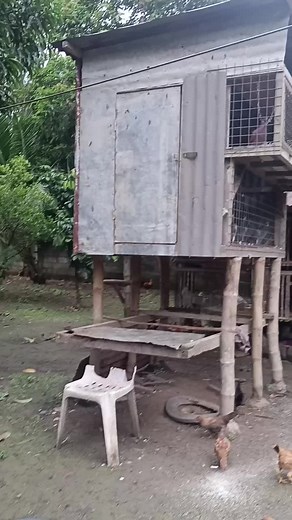 Bachelorette Loft Party Dancing Bear