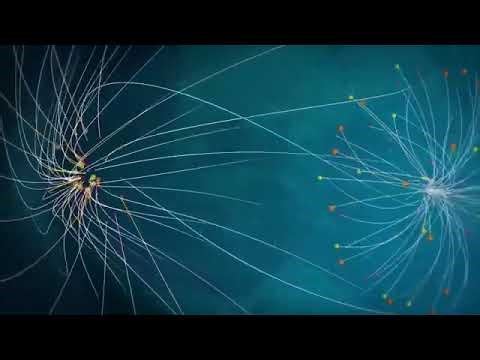 yt1z xyz SBS WorldWatch Intro to ERT Eidiseis 360p