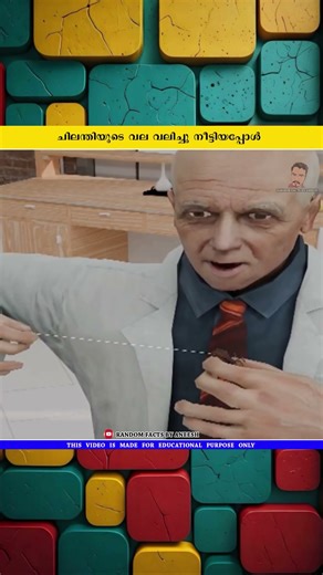 ചിലന്തിയുടെ വല വലിച്ചു നീട്ടിയപ്പോൾ 😳😳 #shorts