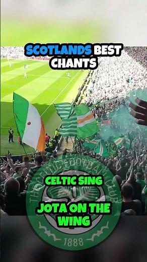 JOTA ON THE WING 🎵🍀