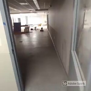 2.4K views · 179 reactions | The excitement is building! Here's another sneak peek! | Mount Laurel Animal Hospital | Facebook