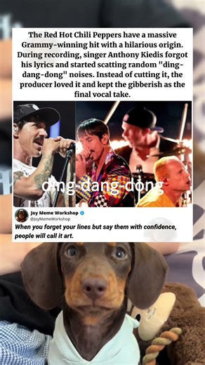 I Can't Believe He Forgot His Own Lyrics... #funny #memes #pets