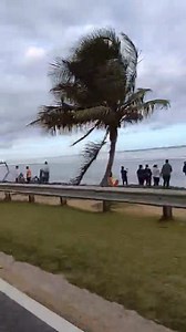 8.7K views · 465 reactions | PIÑONES LOÍZA PR ️ CARRETERA# 187️ BELLA RUTA COSTERA ️ TURISMO EN DOS RUEDAS ️ CON LA GRAN FAMILIA ❤️ Moto Pasión PR  DOMINGO 11 DE FEBRERO 2024  NACIMOS PARA RODAR ️ PUERTO RICO  #motopasionpuertorico #motopasionpr #isladelencatopr #piñones #piñones #Loiza #loizapr #loizapuertorico | Moto Pasión | Facebook