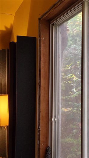 1.2K views · 30 reactions | This one showed up, maybe to add squirrel harmony. | Jamie Anderson | Facebook