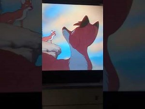 Fox and hound vs bear