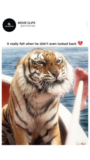 SHORTIFYFILMS on Instagram: "Life of Pi (2012) 🎬🌊 A breathtaking cinematic journey that blends survival, spirituality, and imagination. Directed by Ang Lee, Life of Pi tells the story of Piscine “Pi” Patel, a young boy who survives a shipwreck and finds himself lost in the vast Pacific Ocean with a Bengal tiger named Richard Parker. As days turn into months, Pi’s struggle becomes not just physical, but emotional and spiritual, forcing him to confront fear, faith, and the meaning of life itself