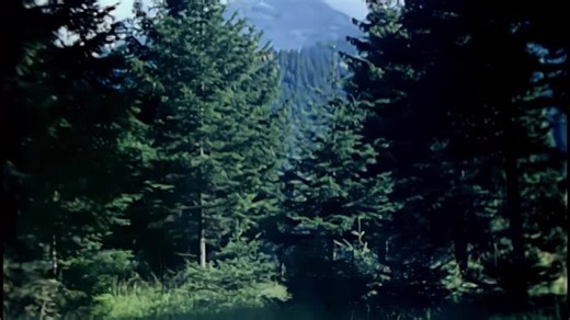 The Hitler Home Movies 2023 Documentary Welcome to the movies and television