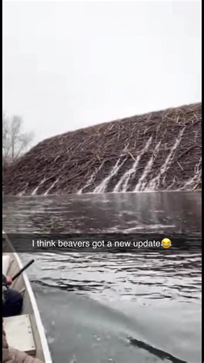 How long do you think it took them to make this??? | wood buffalo national park dam