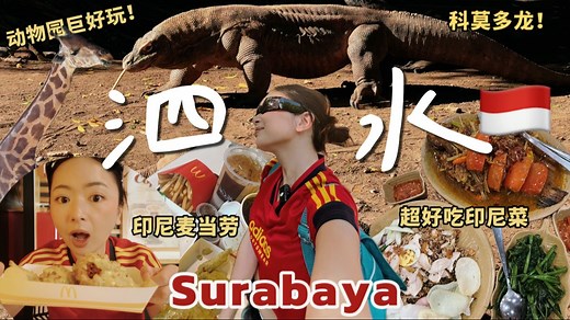 印尼 | 爬完bromo火山，一定要去泗水玩！动物园巨好玩、这家印尼菜超好吃、开箱印尼麦当劳