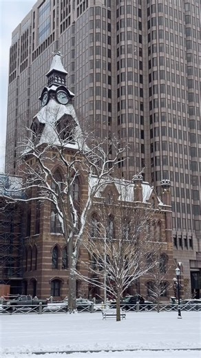 New Haven, Connecticut on Instagram: "First snowfall downtown. A fresh layer of snow blankets the Green and dusts the trees on Chapel Street. Holiday season, we see you. #nhv"