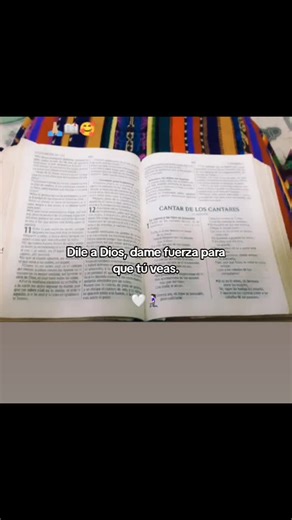 ☆ M_e_n_d_e_z☆ (@.m_e_n_d_e_z)’s videos with sonido original - STEVEN JAVIER