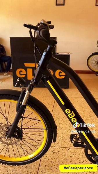 Discover the eBee Nyuki: Uganda's Unique Honey Bee