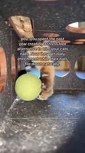 Cat Nail File Enrichment Box, Cat Scratch Puzzle Enrichment Box, Cat Scratchers for Indoor Cats, Nail File Stress Free Alternative to Clippers and Grinders,Contains Sandpaper Inside (2PCS)