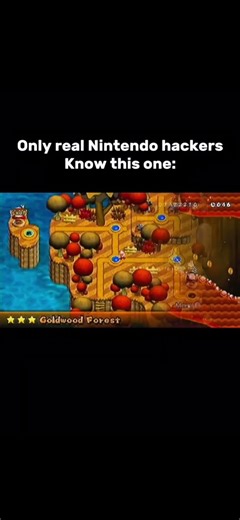 The best NSMBW ROM hack ever made... #mario #nintendo #wii #romhack #hack #fun #shorts