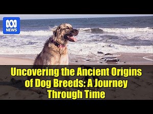 Uncovering the Ancient Origins of Dog Breeds: A Journey Through Time