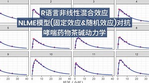 R语言非线性混合效应 NLME模型(固定效应&随机效应)对抗哮喘药物茶碱动力学