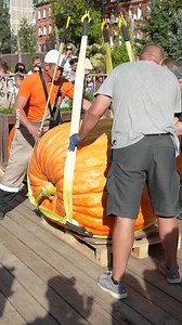 Quéee 🤯 Durante concurso del festival de otoño que se celebra en el jardín botánico más antiguo de Rusia, el jardinero Alexander Chusov rompió record nacional exhibiendo calabaza de 817 kilos. El ganador señaló que su principal objetivo era "la alegría de cultivar y exhibir sus plantas". | Meganoticias