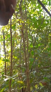 7.7K views · 238 reactions | Most Amazing Skill and Talent Building a Private Pool in a Modern Underground House in 180 Days | Primitive Unique Tool | Facebook