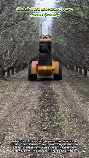 Watch This Machine Prune Trees Quickly