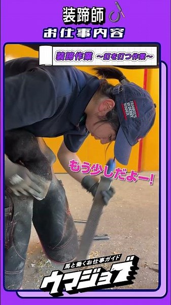 🐎装蹄師さんのお仕事とは🔍 | JRA公式