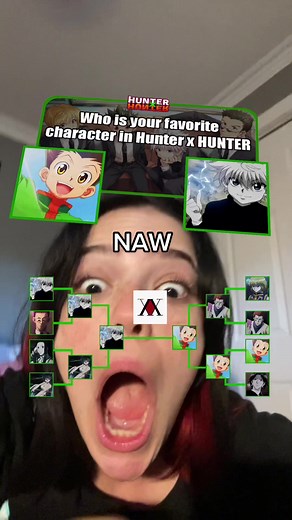 Hunter x Hunter Characters Relationships Explained